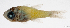  ( - L666-007)  @11 [ ] CreativeCommons Attribution ShareAlike (2024) Institut de Recherche pour le Développement Institut de Recherche pour le Développement