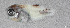  ( - L400-012)  @11 [ ] CreativeCommons Attribution ShareAlike (2024) Institut de Recherche pour le Développement Institut de Recherche pour le Développement