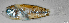  ( - L582-006)  @11 [ ] CreativeCommons Attribution ShareAlike (2024) Institut de Recherche pour le Développement Institut de Recherche pour le Développement