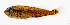  ( - L388-012)  @11 [ ] CreativeCommons Attribution ShareAlike (2024) Institut de Recherche pour le Développement Institut de Recherche pour le Développement