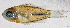  ( - L502-015)  @11 [ ] CreativeCommons Attribution ShareAlike (2024) Institut de Recherche pour le Développement Institut de Recherche pour le Développement