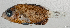  ( - L698-031)  @11 [ ] CreativeCommons Attribution ShareAlike (2024) Institut de Recherche pour le Développement Institut de Recherche pour le Développement