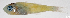  ( - L424-005)  @11 [ ] CreativeCommons Attribution ShareAlike (2024) Institut de Recherche pour le Développement Institut de Recherche pour le Développement