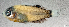  ( - L524-033)  @11 [ ] CreativeCommons Attribution ShareAlike (2024) Institut de Recherche pour le Développement Institut de Recherche pour le Développement