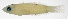  ( - L748-007)  @11 [ ] CreativeCommons Attribution ShareAlike (2024) Institut de Recherche pour le Développement Institut de Recherche pour le Développement