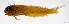  ( - L572-008)  @11 [ ] CreativeCommons Attribution ShareAlike (2024) Institut de Recherche pour le Développement Institut de Recherche pour le Développement