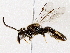  ( - BIOUG73614-F05)  @11 [ ] CreativeCommons - Attribution (2022) CBG Photography Group Centre for Biodiversity Genomics