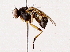  ( - BIOUG73614-F12)  @11 [ ] CreativeCommons - Attribution (2022) CBG Photography Group Centre for Biodiversity Genomics