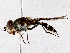  ( - BIOUG73614-H05)  @11 [ ] CreativeCommons - Attribution (2022) CBG Photography Group Centre for Biodiversity Genomics