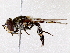  ( - BIOUG73614-H06)  @11 [ ] CreativeCommons - Attribution (2022) CBG Photography Group Centre for Biodiversity Genomics