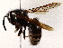  ( - BIOUG73658-B04)  @11 [ ] CreativeCommons - Attribution (2022) CBG Photography Group Centre for Biodiversity Genomics