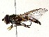  ( - BIOUG73659-B03)  @11 [ ] CreativeCommons - Attribution (2022) CBG Photography Group Centre for Biodiversity Genomics