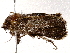  ( - BIOUG73659-G07)  @11 [ ] CreativeCommons - Attribution (2022) CBG Photography Group Centre for Biodiversity Genomics