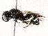  ( - BIOUG73660-E11)  @11 [ ] CreativeCommons - Attribution (2022) CBG Photography Group Centre for Biodiversity Genomics