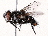 ( - BIOUG73660-F12)  @11 [ ] CreativeCommons - Attribution (2022) CBG Photography Group Centre for Biodiversity Genomics
