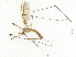  ( - BIOUG73660-H04)  @11 [ ] CreativeCommons - Attribution (2022) CBG Photography Group Centre for Biodiversity Genomics