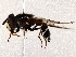  ( - BIOUG73661-H04)  @11 [ ] CreativeCommons - Attribution (2022) CBG Photography Group Centre for Biodiversity Genomics