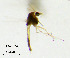  ( - LNCH56)  @11 [ ] CreativeCommons  Attribution Non-Commercial Share-Alike (2019) Haijun Yu Tianjin Agriculture University