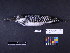  ( - 1998-0020)  @13 [ ] Copyright (2011) Takema  Saitoh Yamashina Institute for Ornithology