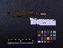  ( - 1996-0152)  @14 [ ] Copyright (2013) Takema  Saitoh Yamashina Institute for Ornithology