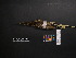  ( - 2006-5406)  @12 [ ] Copyright (2013) Takema  Saitoh Yamashina Institute for Ornithology