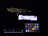  ( - 2006-5499)  @12 [ ] Copyright (2013) Takema  Saitoh Yamashina Institute for Ornithology