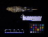  ( - 2007-1228)  @13 [ ] Copyright (2013) Takema  Saitoh Yamashina Institute for Ornithology