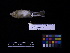  ( - 2007-1266)  @13 [ ] Copyright (2013) Takema  Saitoh Yamashina Institute for Ornithology