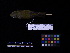  ( - 2007-1266)  @12 [ ] Copyright (2013) Takema  Saitoh Yamashina Institute for Ornithology