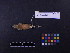  ( - 1997-0365)  @14 [ ] Copyright (2013) Takema  Saitoh Yamashina Institute for Ornithology