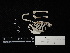 ( - 2014-1104)  @11 [ ] Copyright (2017) Takema  Saitoh Yamashina Institute for Ornithology