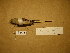  ( - 1997-0016)  @12 [ ] Copyright (2015) Takema  Saitoh Yamashina Institute for Ornithology