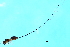  ( - VIR-PLA.1-GD-1)  @11 [ ] CreativeCommons - Attribution (2008) Unspecified Centre for Biodiversity Genomics