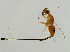  ( - MIC-PHI.EME-HN-4)  @13 [ ] CreativeCommons - Attribution (2008) Unspecified Centre for Biodiversity Genomics