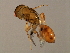  ( - MIC-SPH.2-HN-6)  @13 [ ] CreativeCommons - Attribution (2008) Unspecified Centre for Biodiversity Genomics