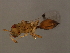  ( - MIC-SPH.2-HN-2)  @13 [ ] CreativeCommons - Attribution (2008) Unspecified Centre for Biodiversity Genomics