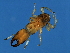  ( - MIC-M.2-HN-4)  @13 [ ] CreativeCommons - Attribution (2008) Unspecified Centre for Biodiversity Genomics
