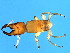  ( - MIC-M.2-2-HN-1)  @12 [ ] CreativeCommons - Attribution (2008) Unspecified Centre for Biodiversity Genomics
