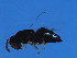  ( - BEN-WAL.BEN-HN-4)  @13 [ ] CreativeCommons - Attribution (2008) Unspecified Centre for Biodiversity Genomics