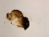  ( - BEN-SBI.1-HN-6)  @12 [ ] CreativeCommons - Attribution (2008) Unspecified Centre for Biodiversity Genomics