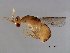  (Acophila M3-ALT - ALT-ACO.M3-YN-1)  @14 [ ] CreativeCommons - Attribution (2008) Unspecified Centre for Biodiversity Genomics