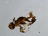 ( - GLA-ESA.1-HN-1)  @12 [ ] CreativeCommons - Attribution (2008) Unspecified Centre for Biodiversity Genomics