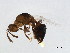  ( - GLA-ESA.1-HN-2)  @13 [ ] CreativeCommons - Attribution (2008) Unspecified Centre for Biodiversity Genomics