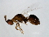  (Eufroggattisca - GLA-ESA.1-HN-4)  @14 [ ] CreativeCommons - Attribution (2008) Unspecified Centre for Biodiversity Genomics