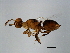  ( - GLA-ESA.1-HN-5)  @13 [ ] CreativeCommons - Attribution (2008) Unspecified Centre for Biodiversity Genomics