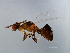  ( - GLA-ESA.1-HN-6)  @14 [ ] CreativeCommons - Attribution (2008) Unspecified Centre for Biodiversity Genomics