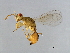  ( - GLA-ESA.M1-HN-1)  @13 [ ] CreativeCommons - Attribution (2008) Unspecified Centre for Biodiversity Genomics