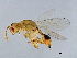  ( - GLA-ESA.M1-HN-3)  @13 [ ] CreativeCommons - Attribution (2008) Unspecified Centre for Biodiversity Genomics