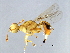  ( - GLA-ESA.M1-HN-5)  @13 [ ] CreativeCommons - Attribution (2008) Unspecified Centre for Biodiversity Genomics