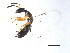  ( - GLA-DIA.1-HN-3)  @14 [ ] CreativeCommons - Attribution (2008) Unspecified Centre for Biodiversity Genomics